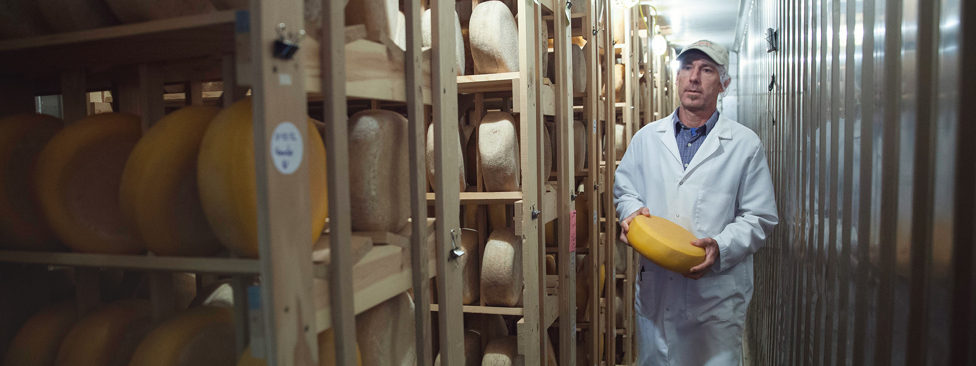 Did You Know? Check Out These 8 Cheese Facts | U.S. Dairy