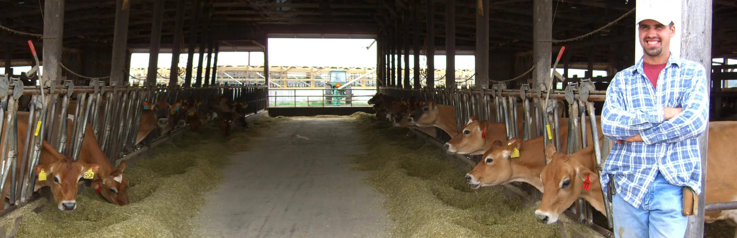 Farm Animal Welfare . Dairy